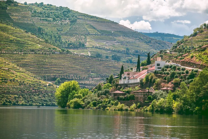 Une quinta au bord du Douro