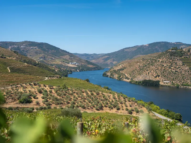 Le Douro entre les vignes